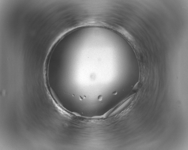 X0000071761430200607212358