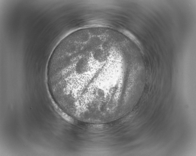 X0000071761431200607212358