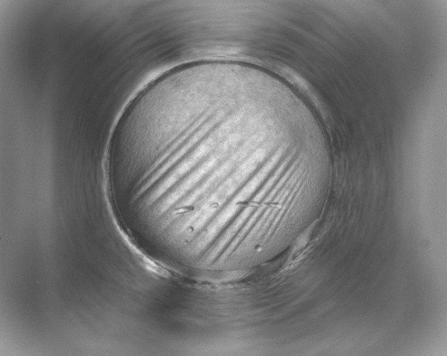 X0000071761432200607212358