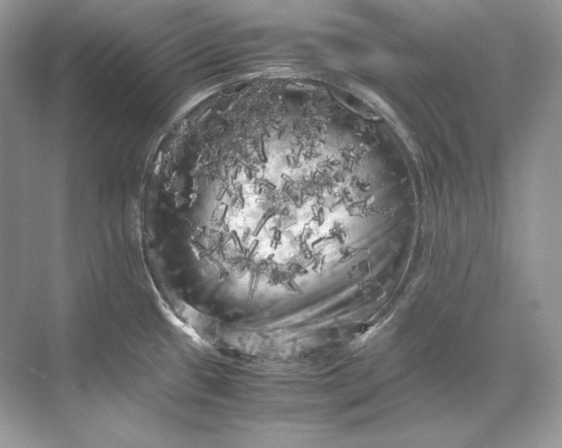 X0000071761433200607212358