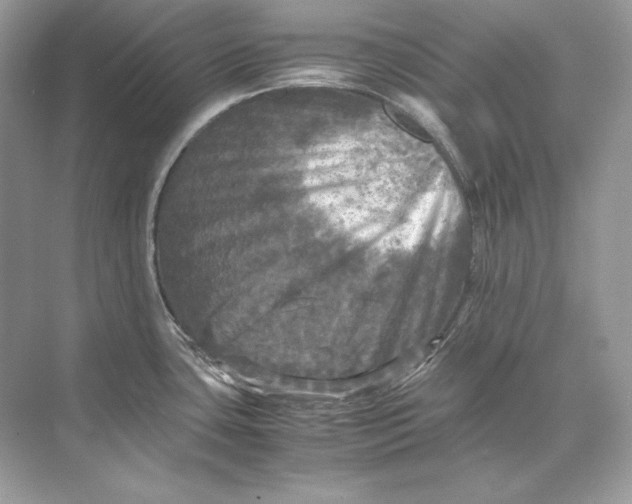 X0000071761435200607212358