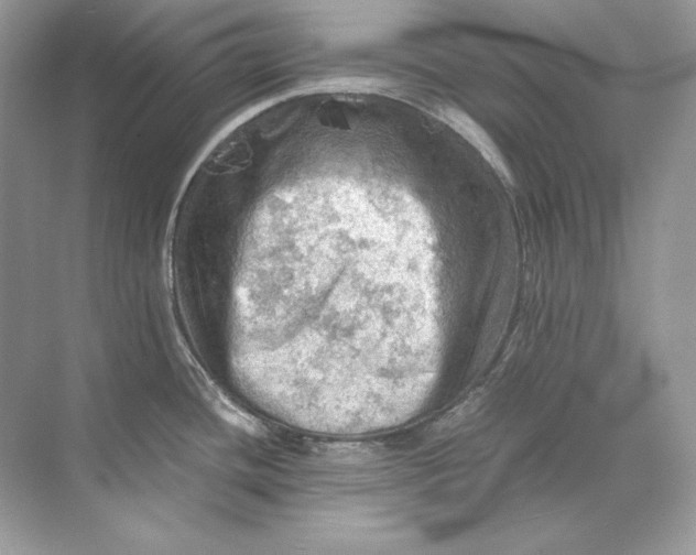 X0000071761436200607212358