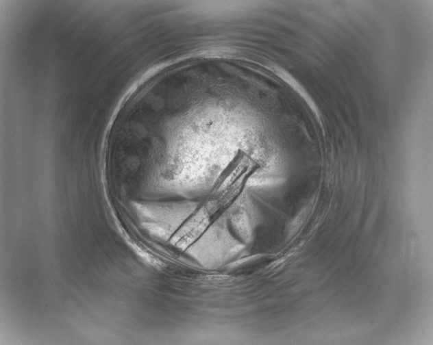 X0000071761437200607212358