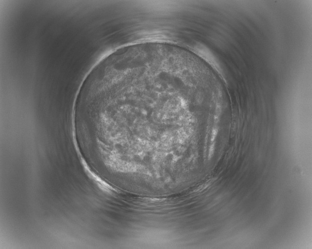 X0000071761439200607212358