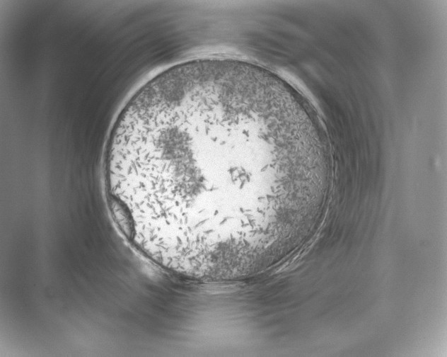 X0000071761440200607212358