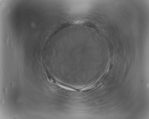 X0000071761441200607212357