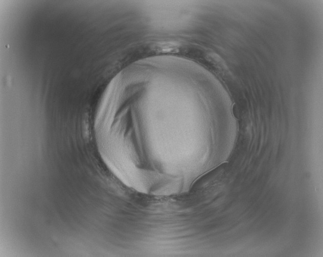 X0000071761442200607212357