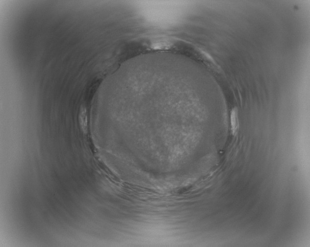 X0000071761443200607212357