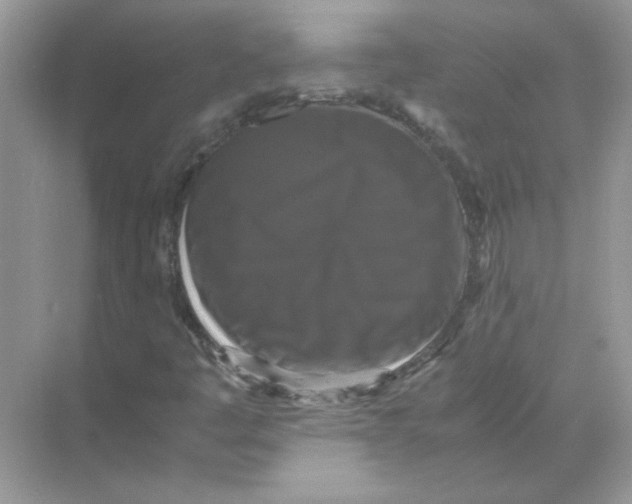 X0000071761445200607212357