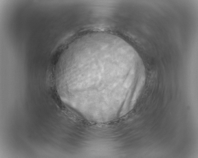 X0000071761446200607212357