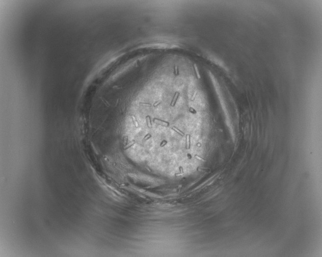 X0000071761448200607212357