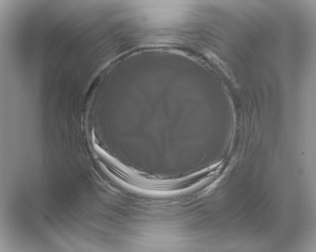 X0000071761449200607212357