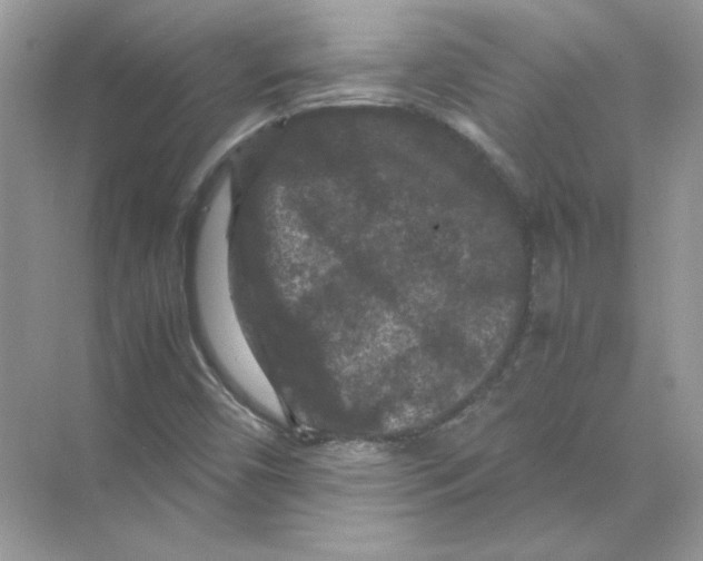 X0000071761450200607212357