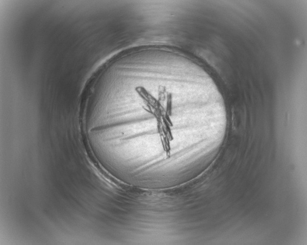 X0000071761452200607212357