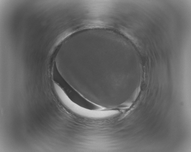 X0000071761453200607212357