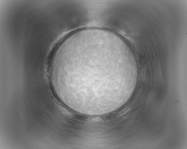 X0000071761454200607212357