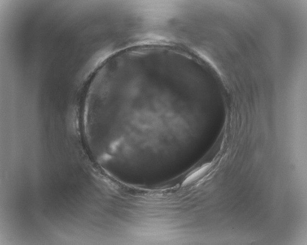 X0000071761455200607212357