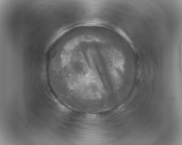 X0000071761456200607212357