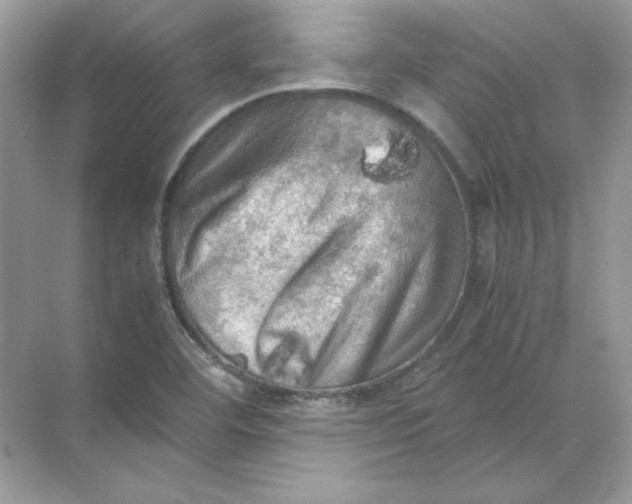 X0000071761460200607212357