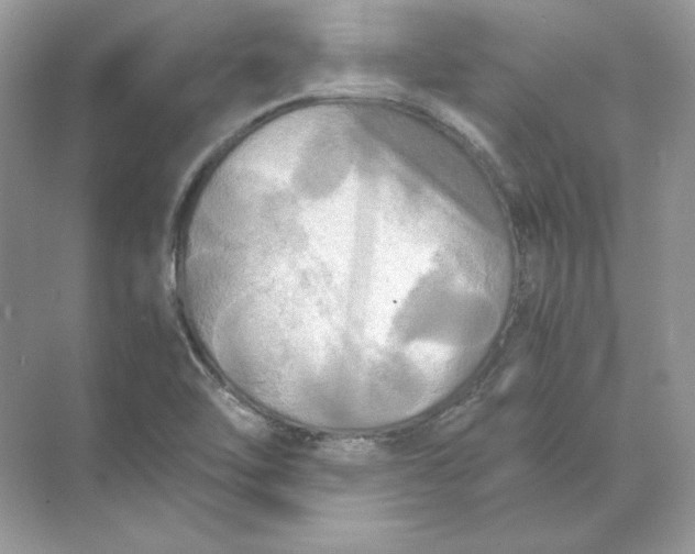 X0000071761462200607212357