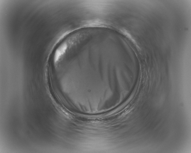 X0000071761463200607212357