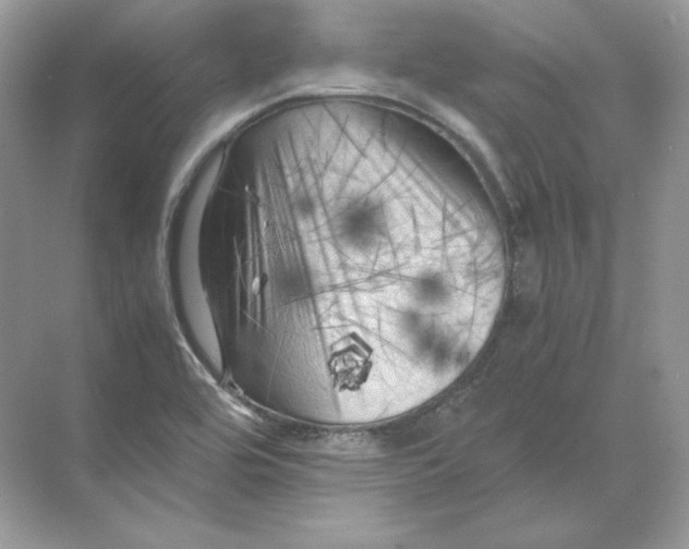 X0000071761464200607212357