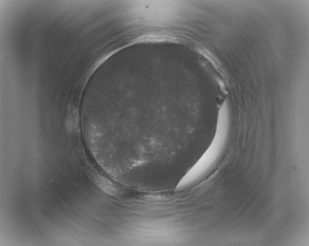 X0000071761465200607212357