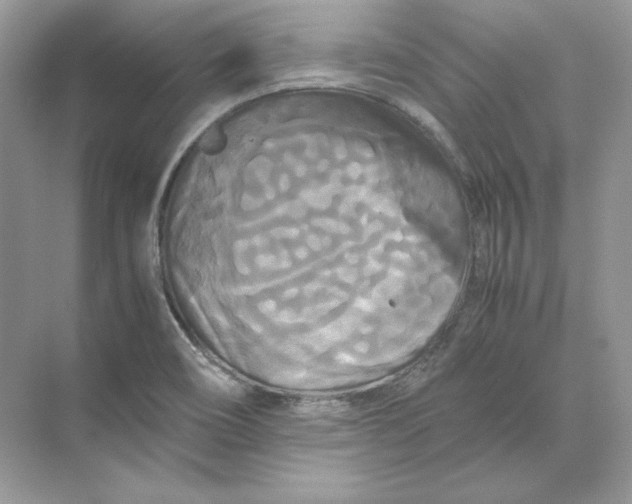 X0000071761466200607212357