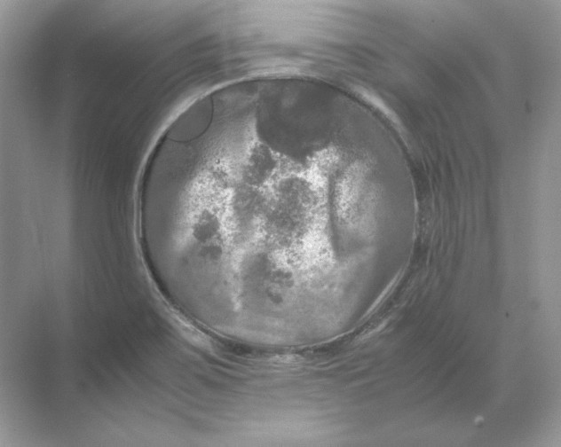 X0000071761467200607212357