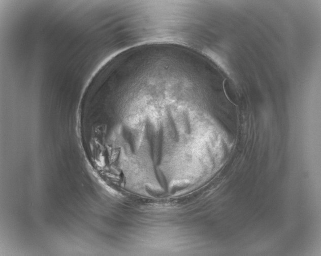 X0000071761468200607212357