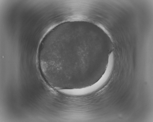 X0000071761469200607212357