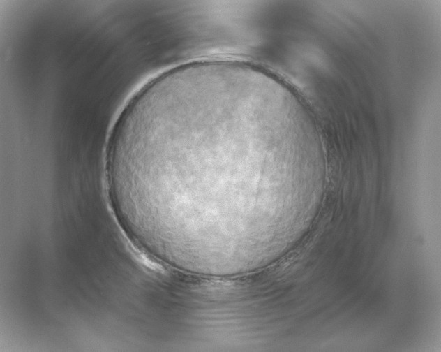 X0000071761470200607212357