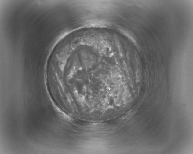 X0000071761471200607212357