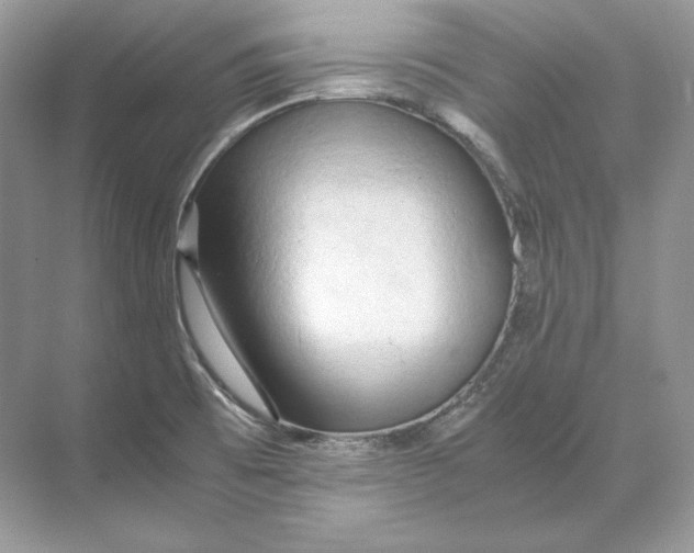 X0000071761473200607212357