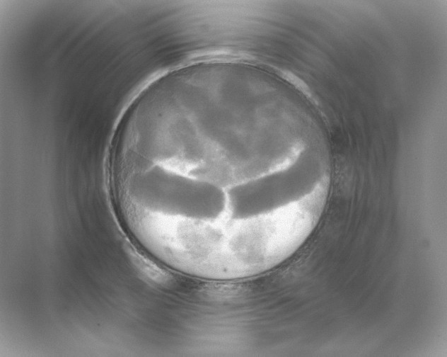 X0000071761474200607212357