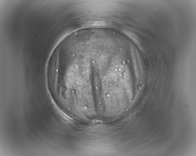 X0000071761475200607212357