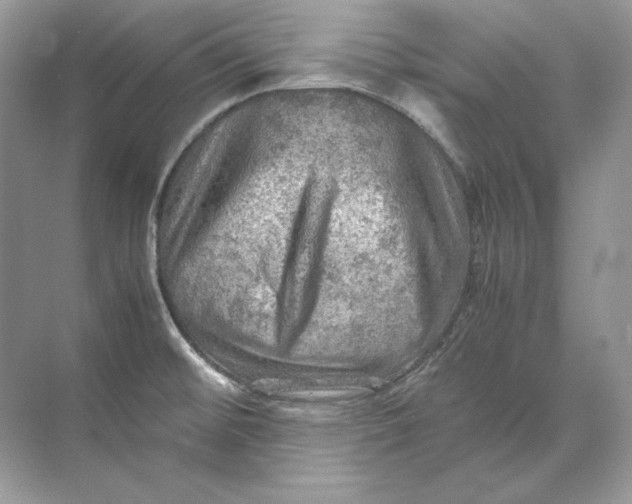 X0000071761476200607212357