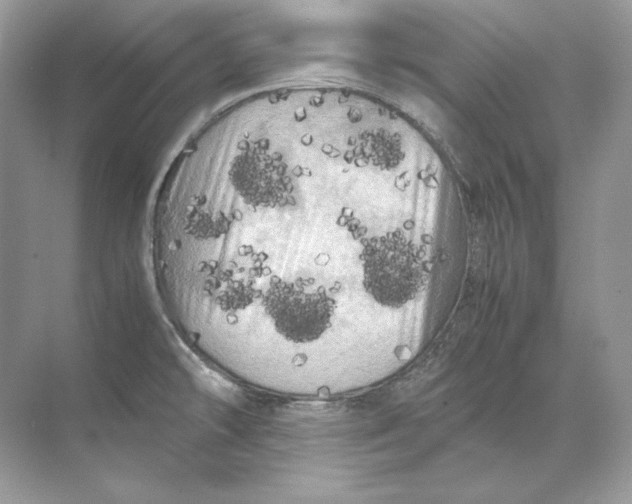 X0000071761478200607212357