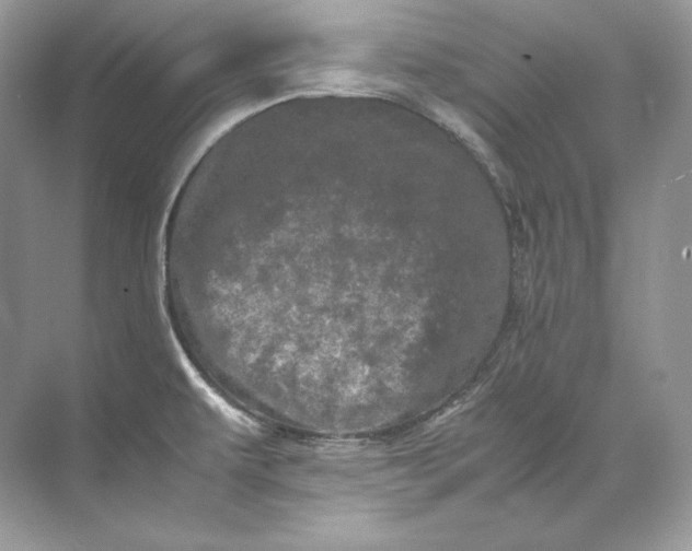 X0000071761479200607212357