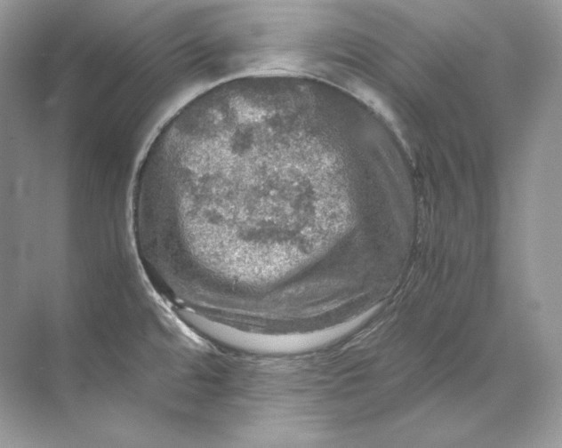 X0000071761480200607212357