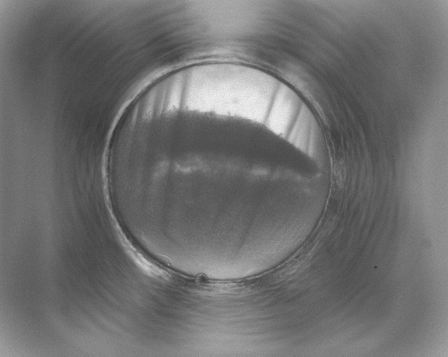 X0000071761482200607212357