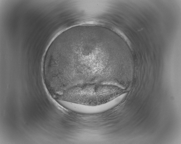 X0000071761483200607212357