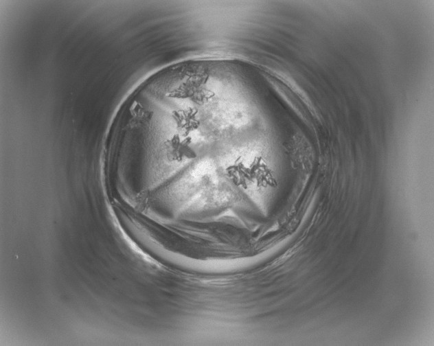 X0000071761484200607212357