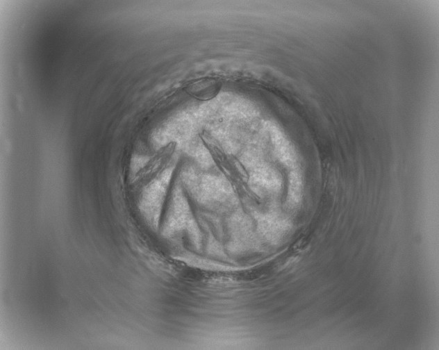 X0000071761489200607212356