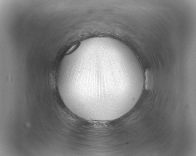 X0000071761491200607212356