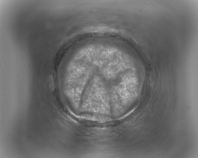 X0000071761493200607212356