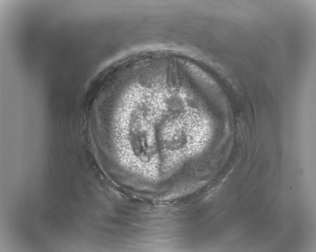 X0000071761494200607212356