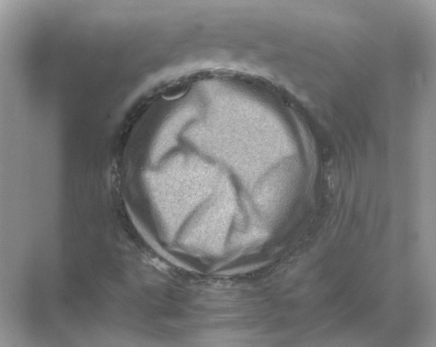 X0000071761495200607212356