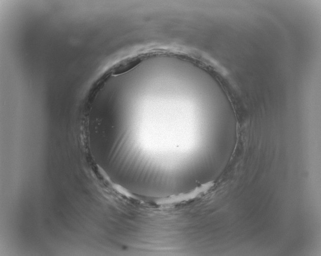 X0000071761496200607212356