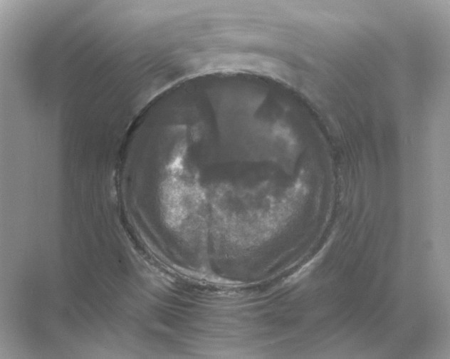 X0000071761497200607212356